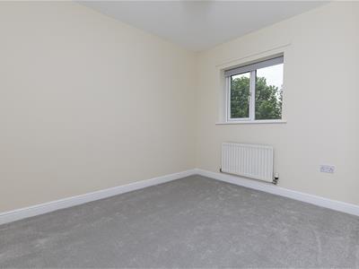 Picture 24